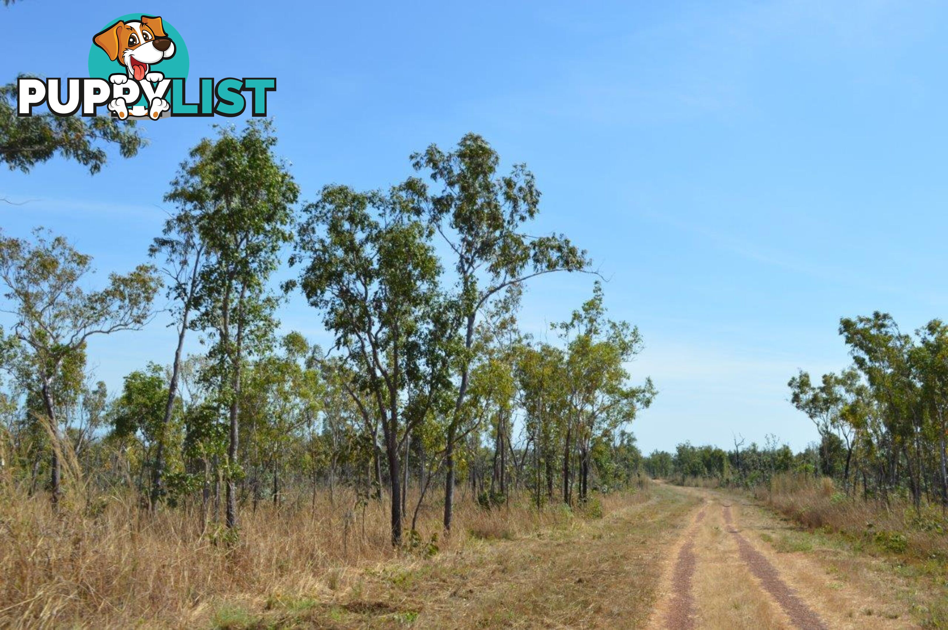 Darwin River NT 0841