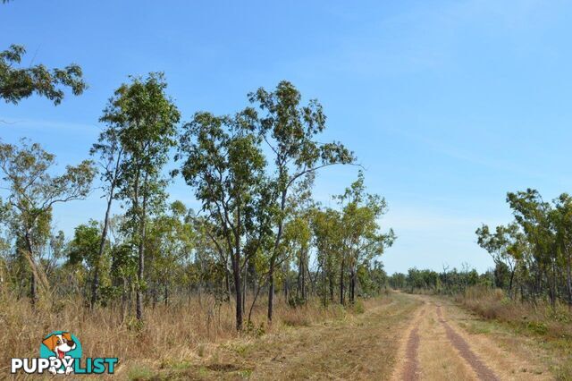 Darwin River NT 0841