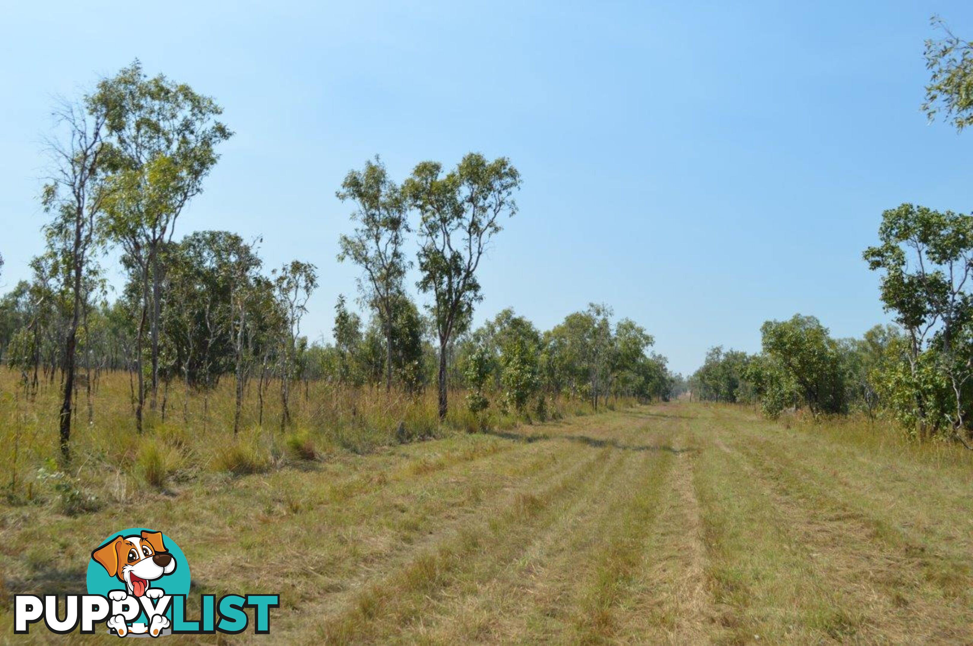 Darwin River NT 0841