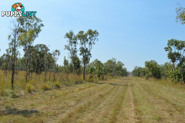 Darwin River NT 0841