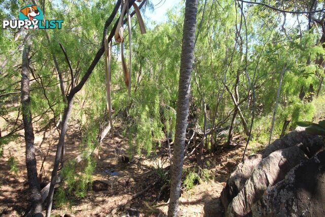 Darwin River NT 0841