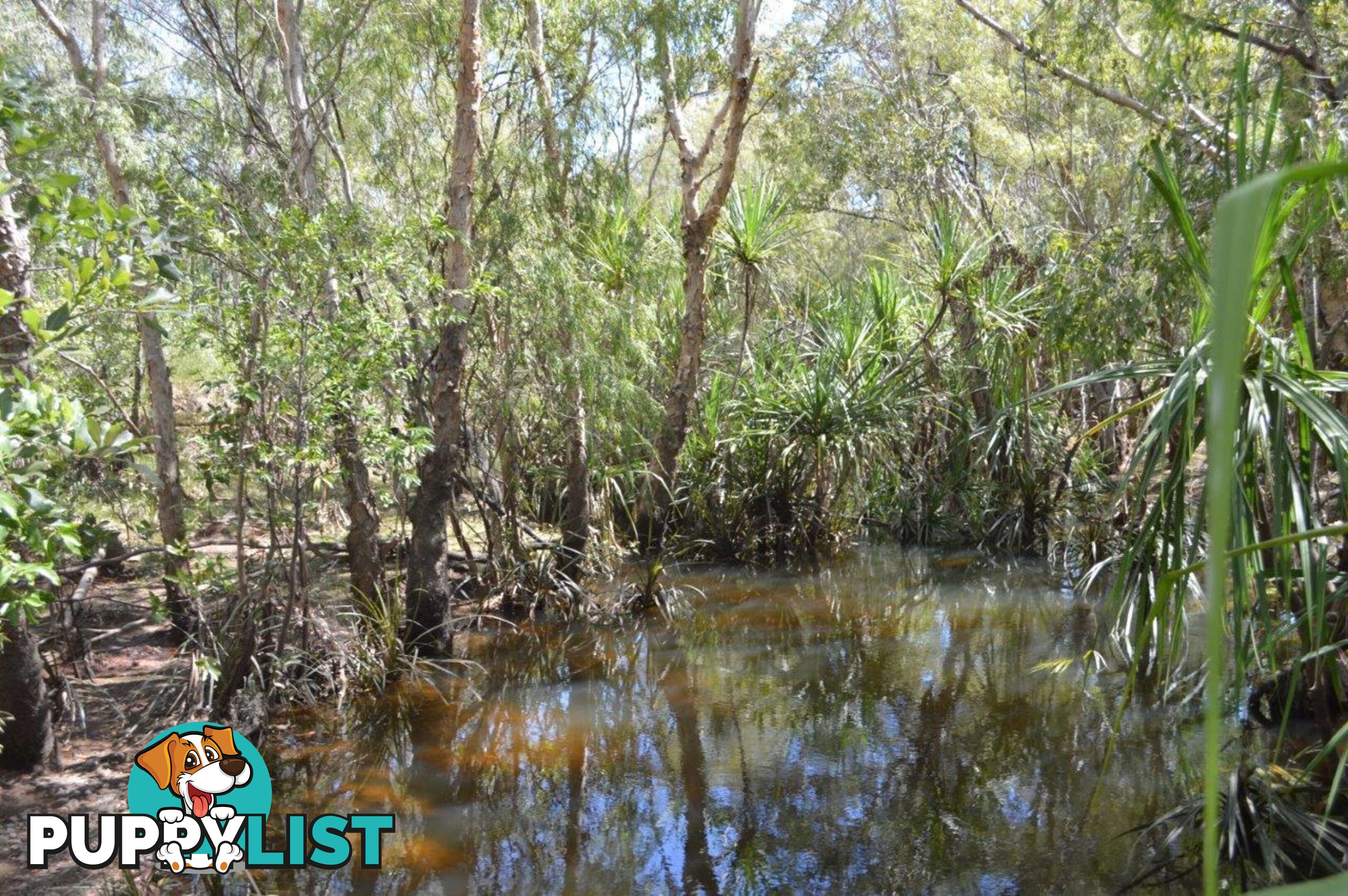 Darwin River NT 0841