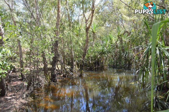 Darwin River NT 0841