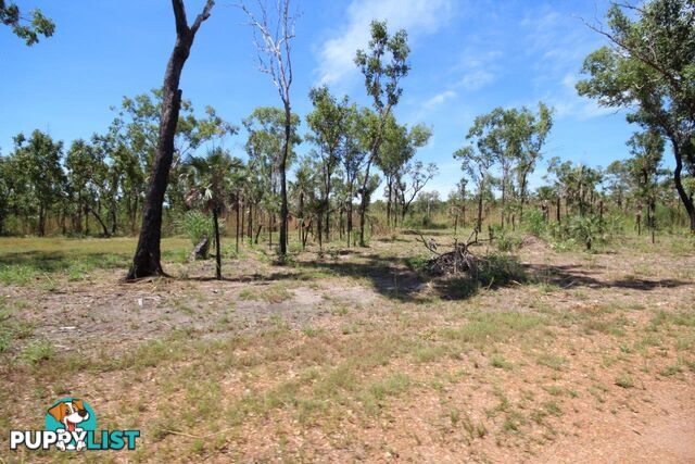 Darwin River NT 0841