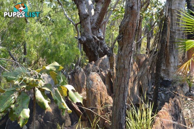 Darwin River NT 0841