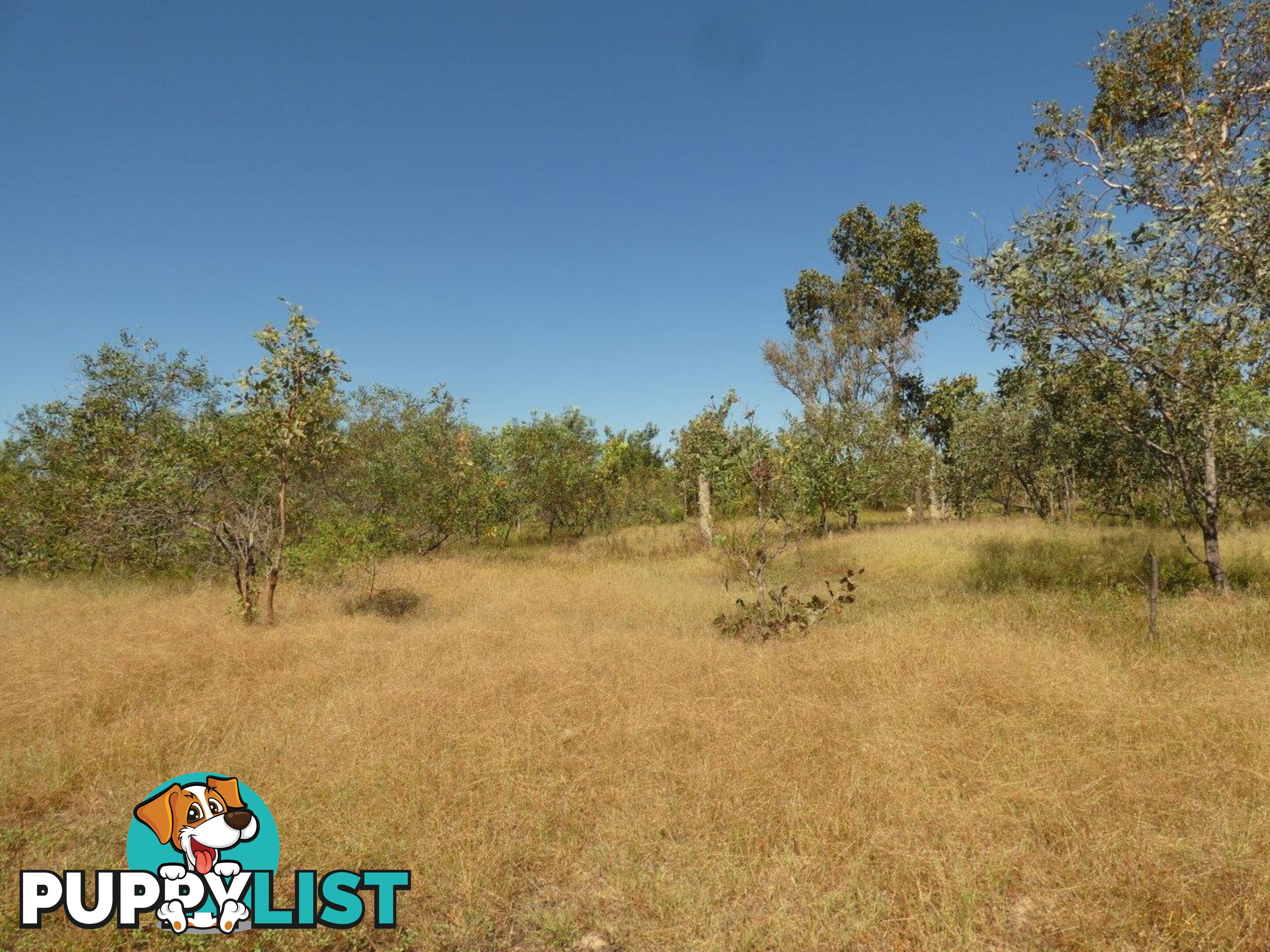 246 Strickland Road Adelaide River NT 0846