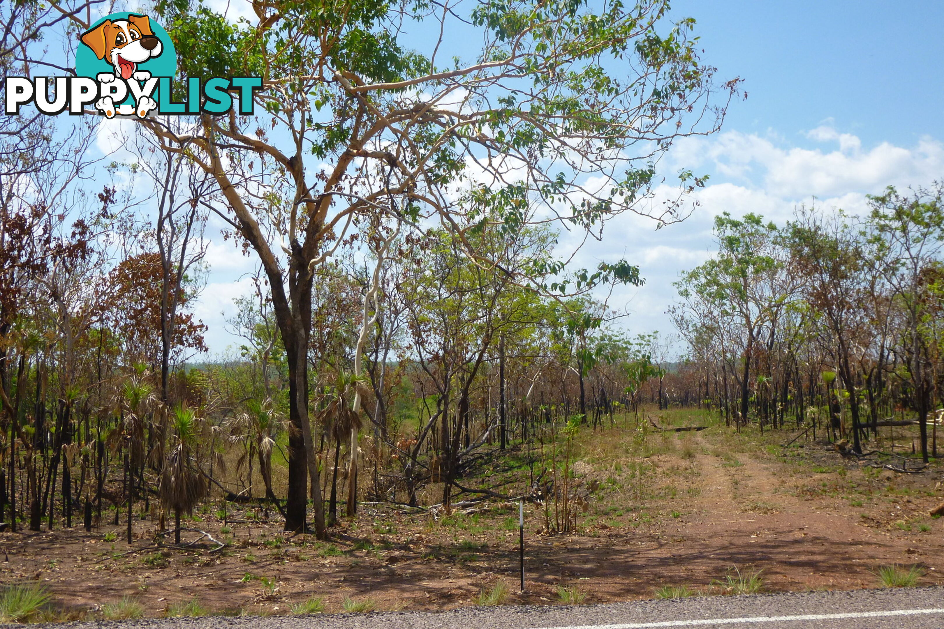 195 Crater Lake Road Batchelor NT 0845