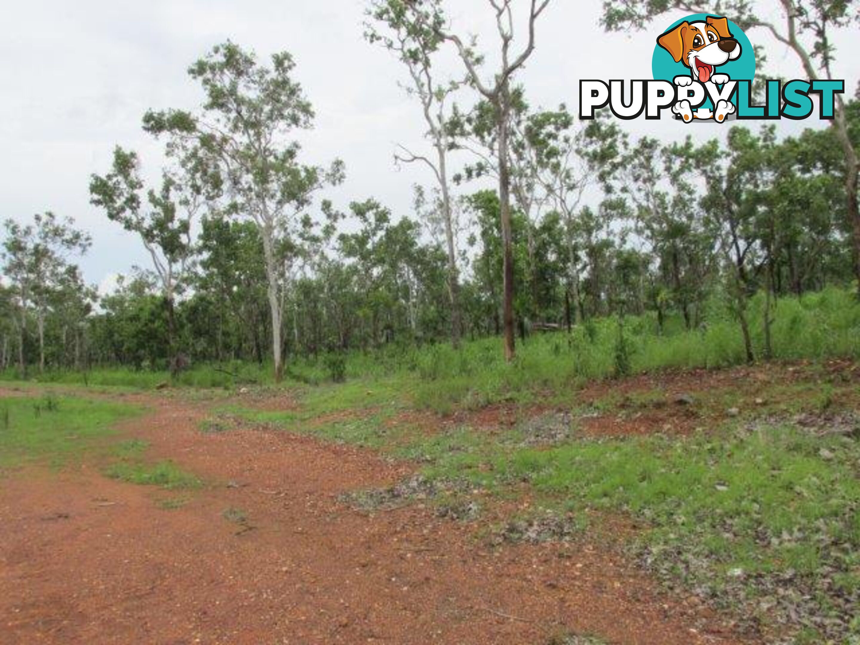 195 Crater Lake Road Batchelor NT 0845