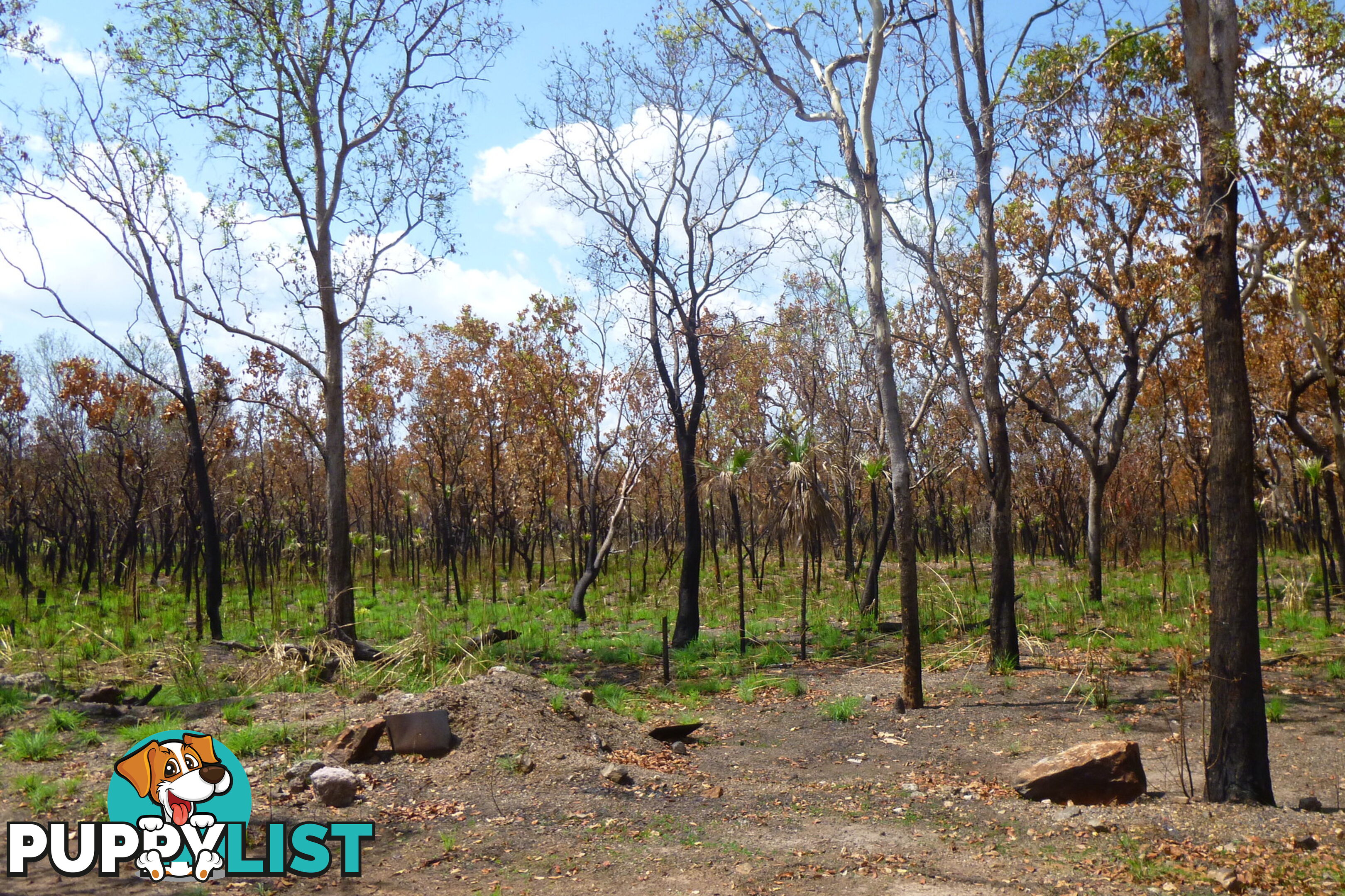 195 Crater Lake Road Batchelor NT 0845