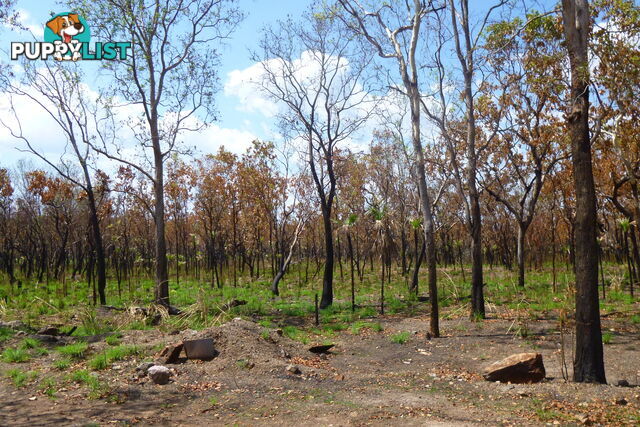 195 Crater Lake Road Batchelor NT 0845