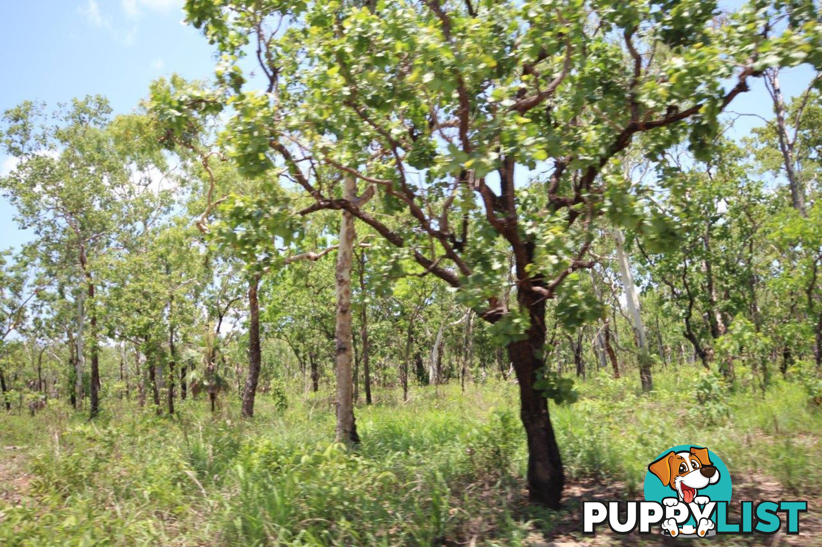 195 Crater Lake Road Batchelor NT 0845