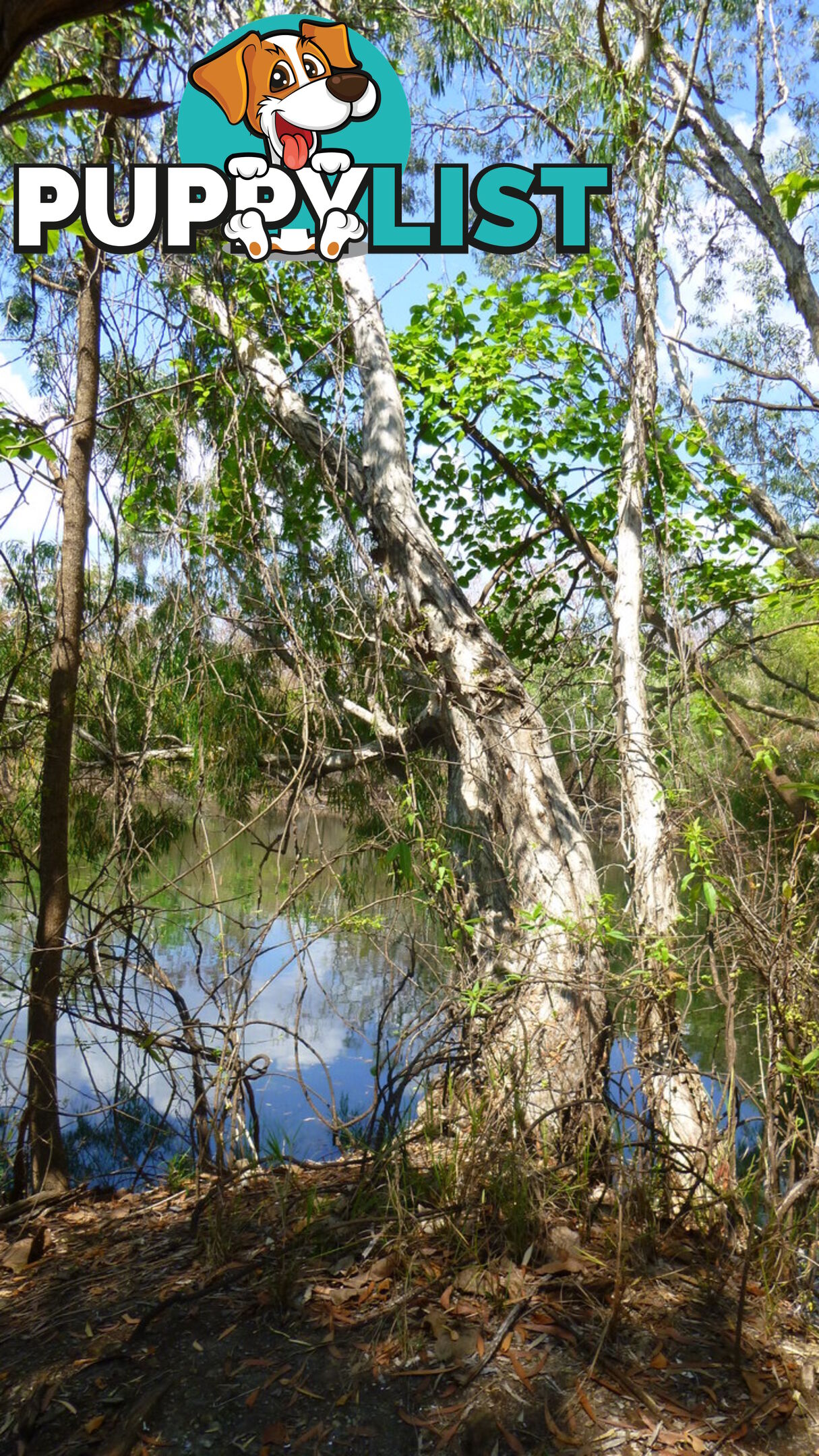 195 Crater Lake Road Batchelor NT 0845