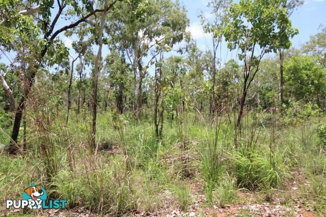 195 Crater Lake Road Batchelor NT 0845