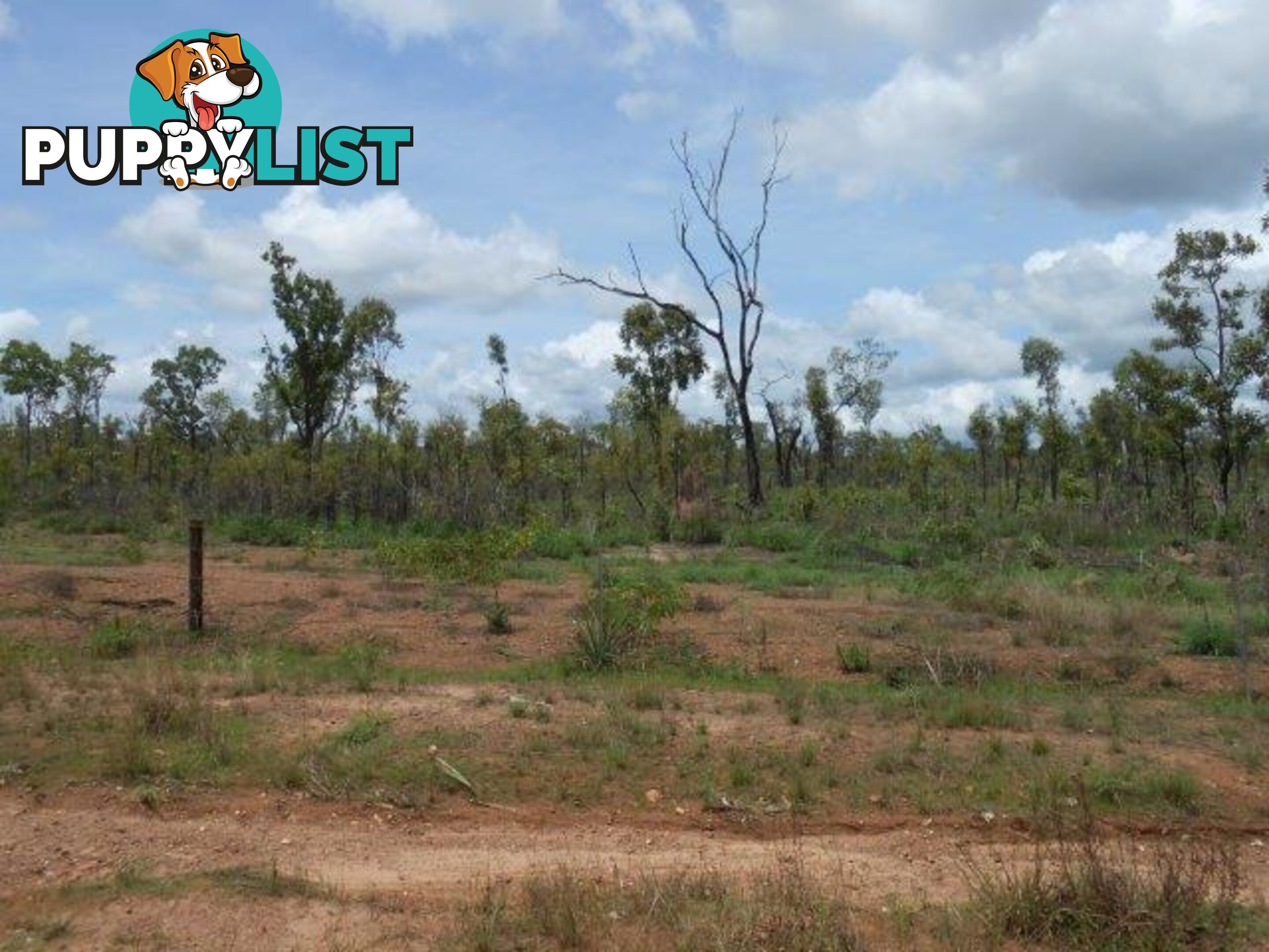 542 & 32 Cheeney - Nolan Road Batchelor NT 0845