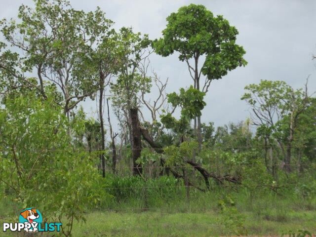 542 & 32 Cheeney - Nolan Road Batchelor NT 0845