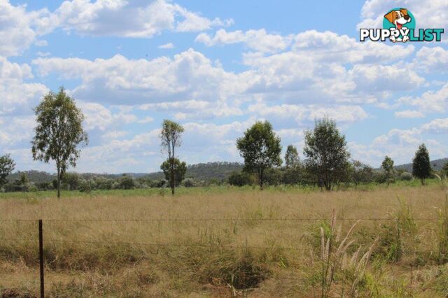 143 Strickland Road Adelaide River NT 0846