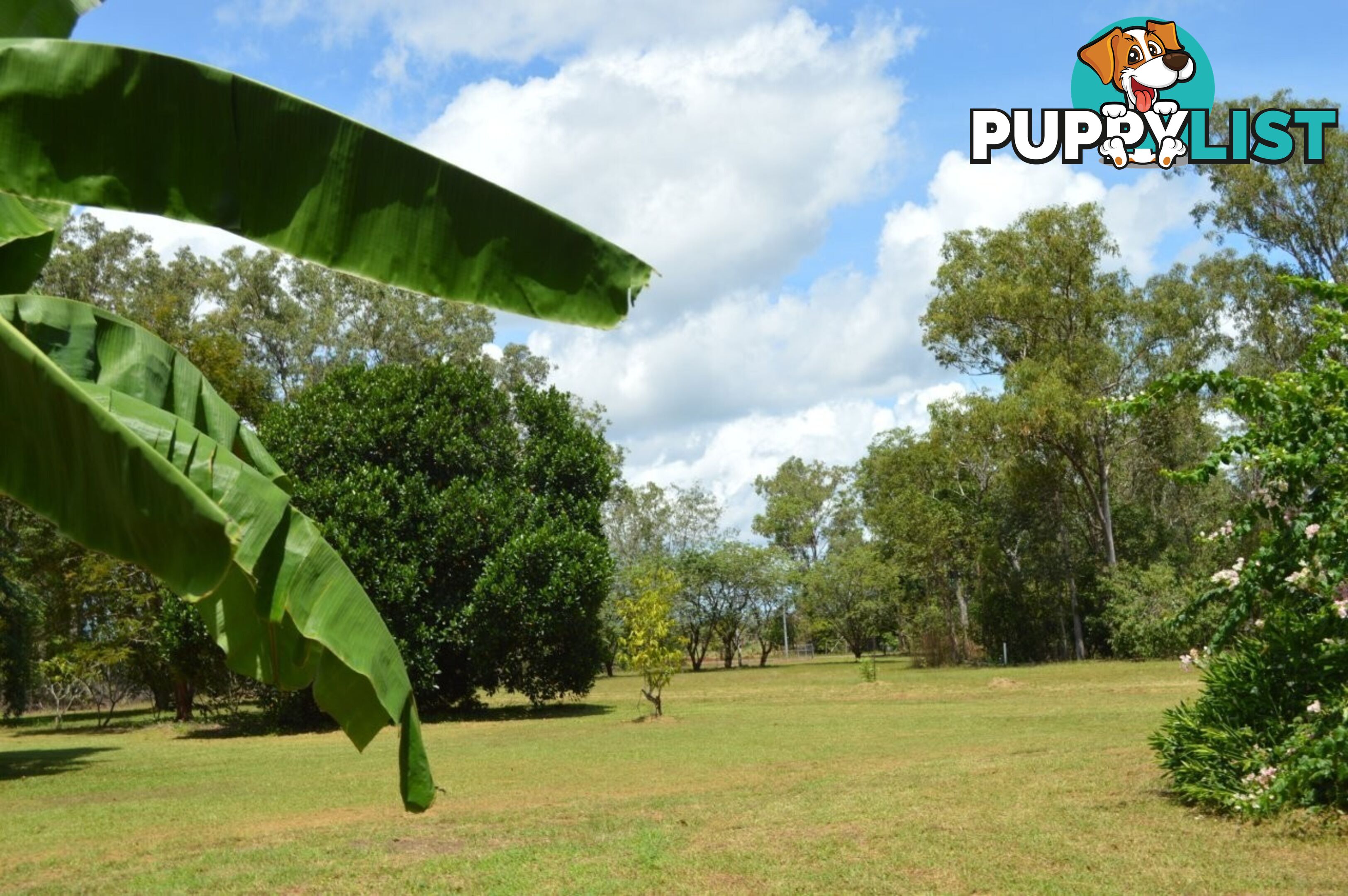 1130 Livingstone Road Berry Springs NT 0838