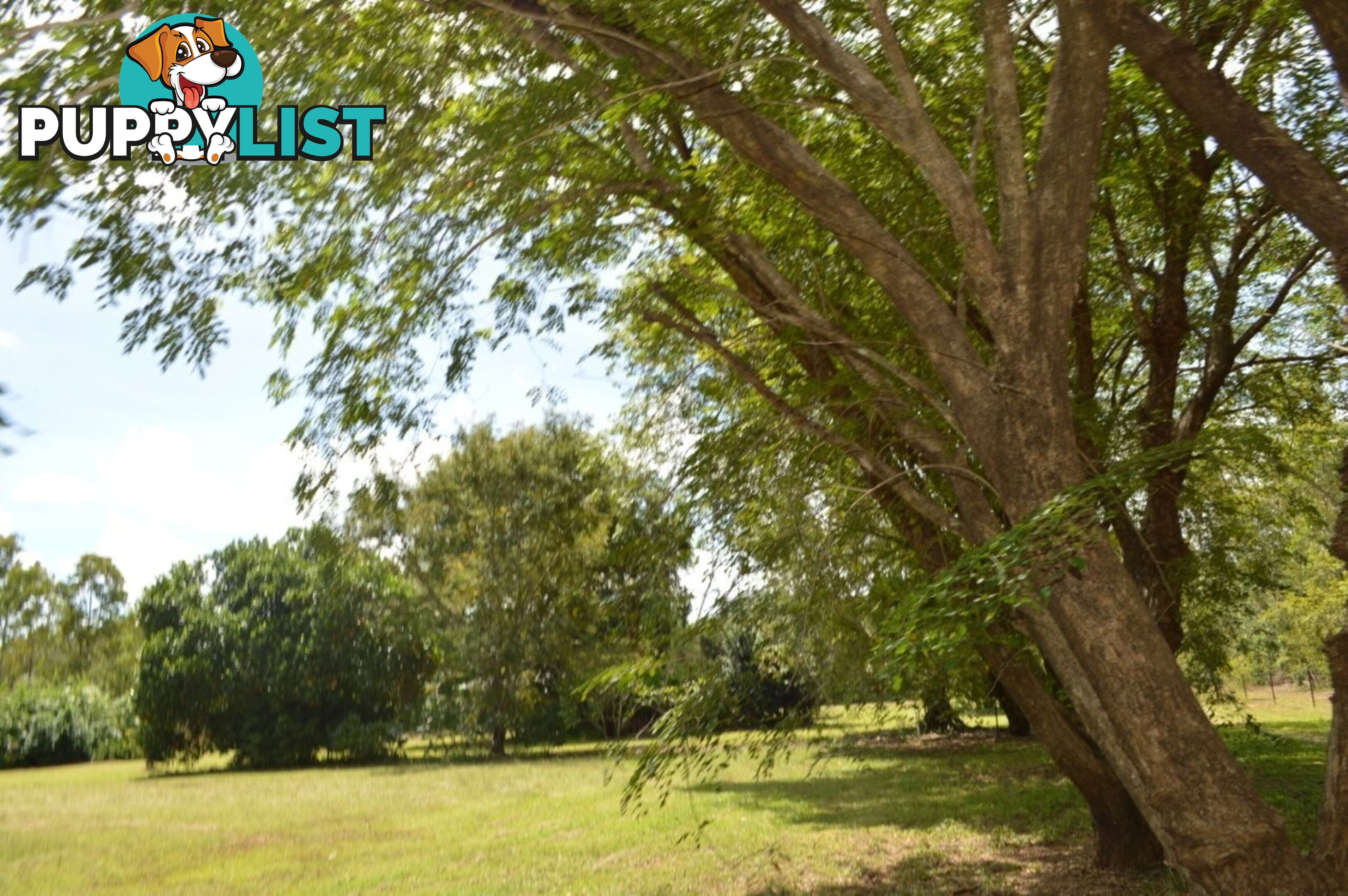 1130 Livingstone Road Berry Springs NT 0838