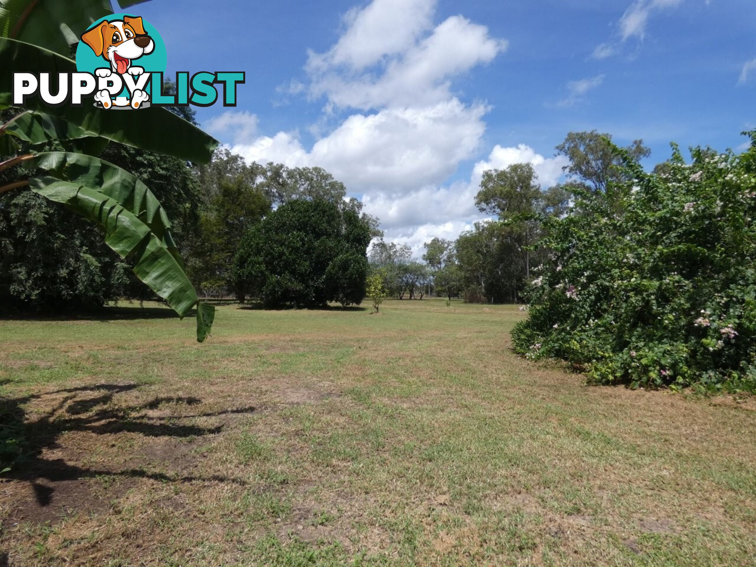 1130 Livingstone Road Berry Springs NT 0838