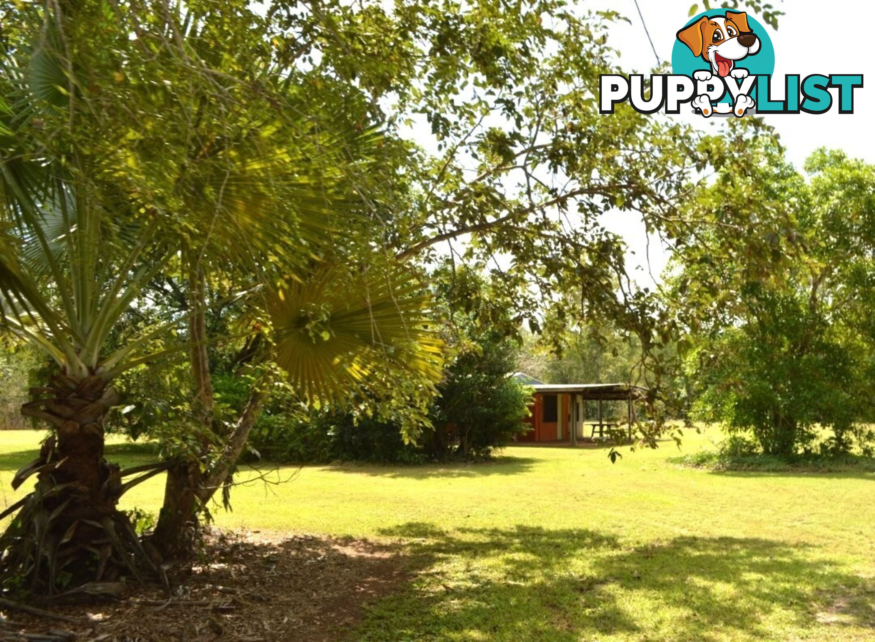 1130 Livingstone Road Berry Springs NT 0838