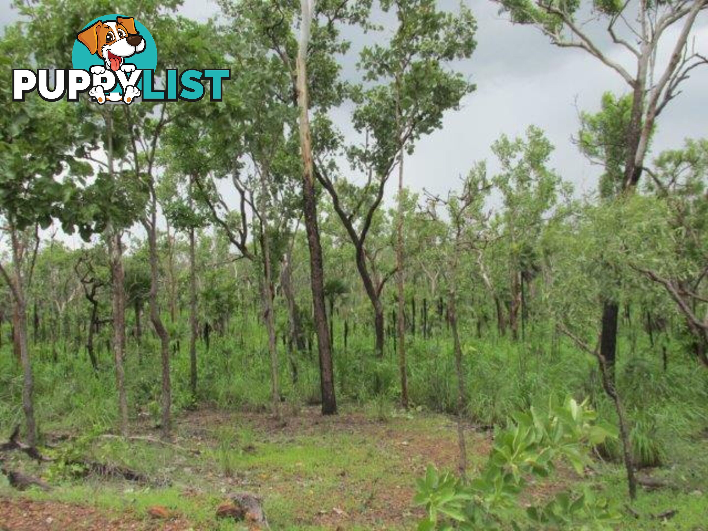 Lot 237 Stuart Highway Coomalie Creek NT 0822