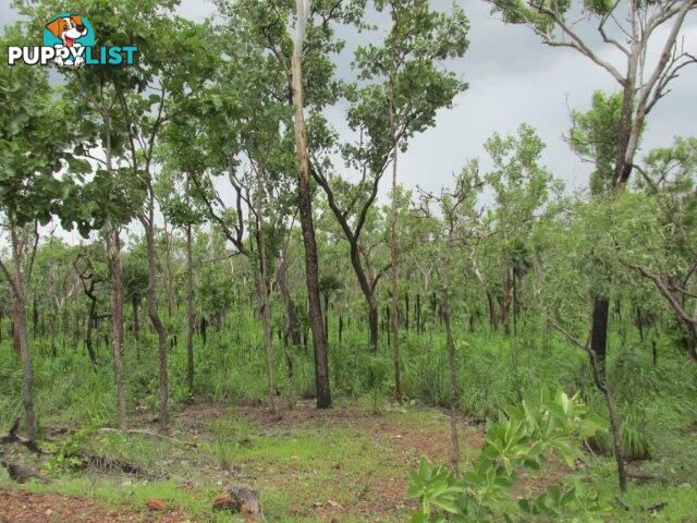 Lot 237 Stuart Highway Coomalie Creek NT 0822