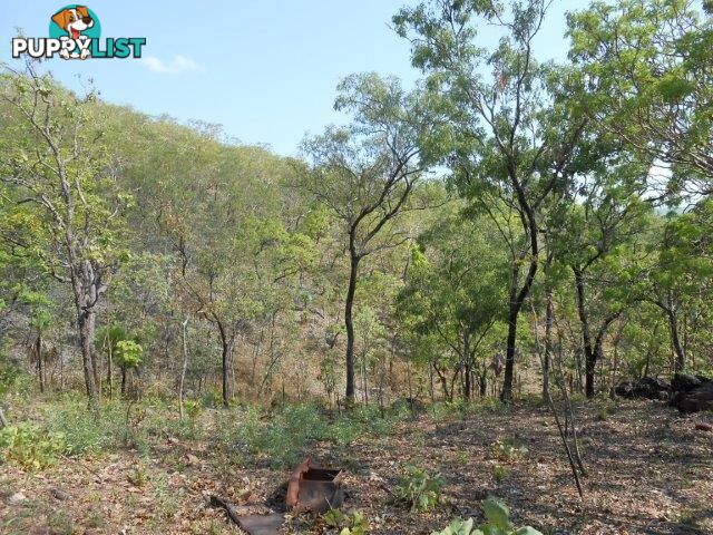 Lot 237 Stuart Highway Coomalie Creek NT 0822