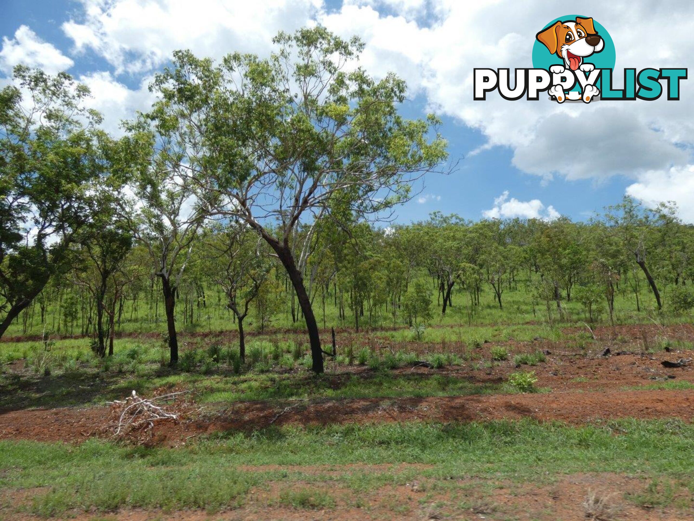 Lot 237 Stuart Highway Coomalie Creek NT 0822