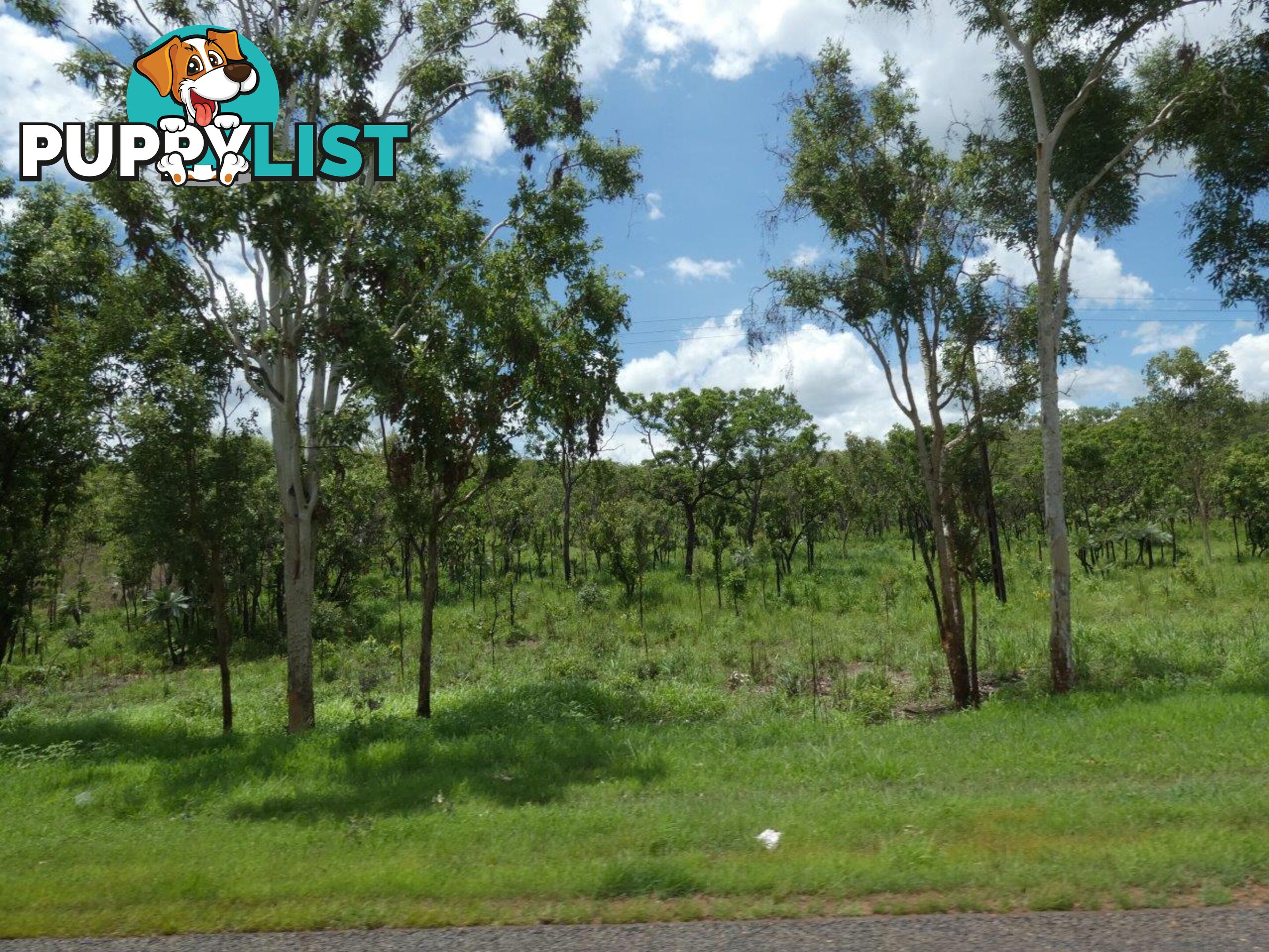 Lot 237 Stuart Highway Coomalie Creek NT 0822