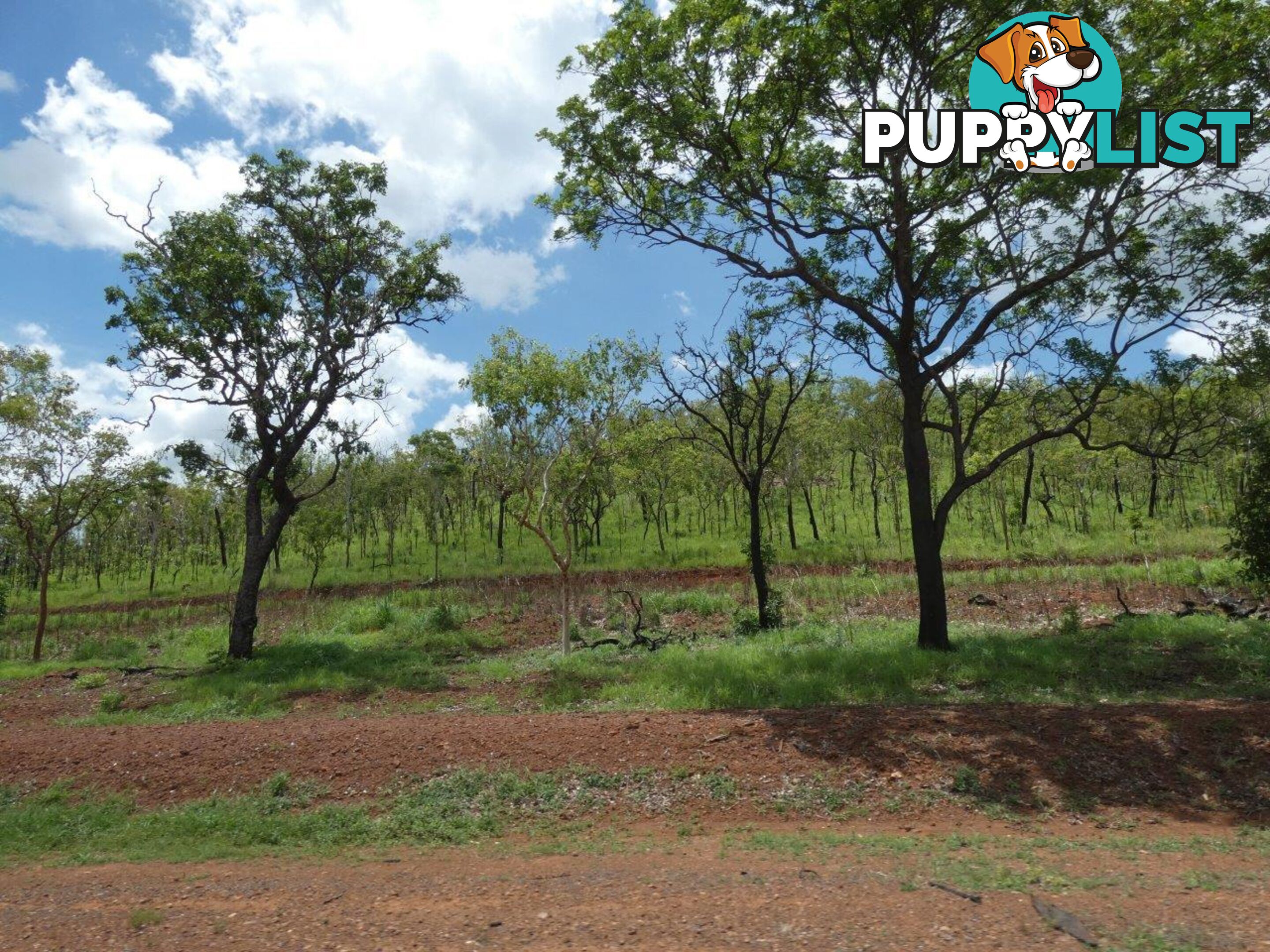 Lot 237 Stuart Highway Coomalie Creek NT 0822