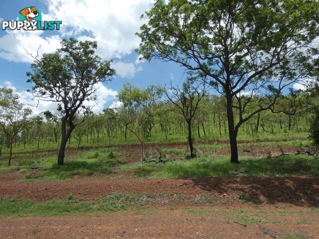 Lot 237 Stuart Highway Coomalie Creek NT 0822