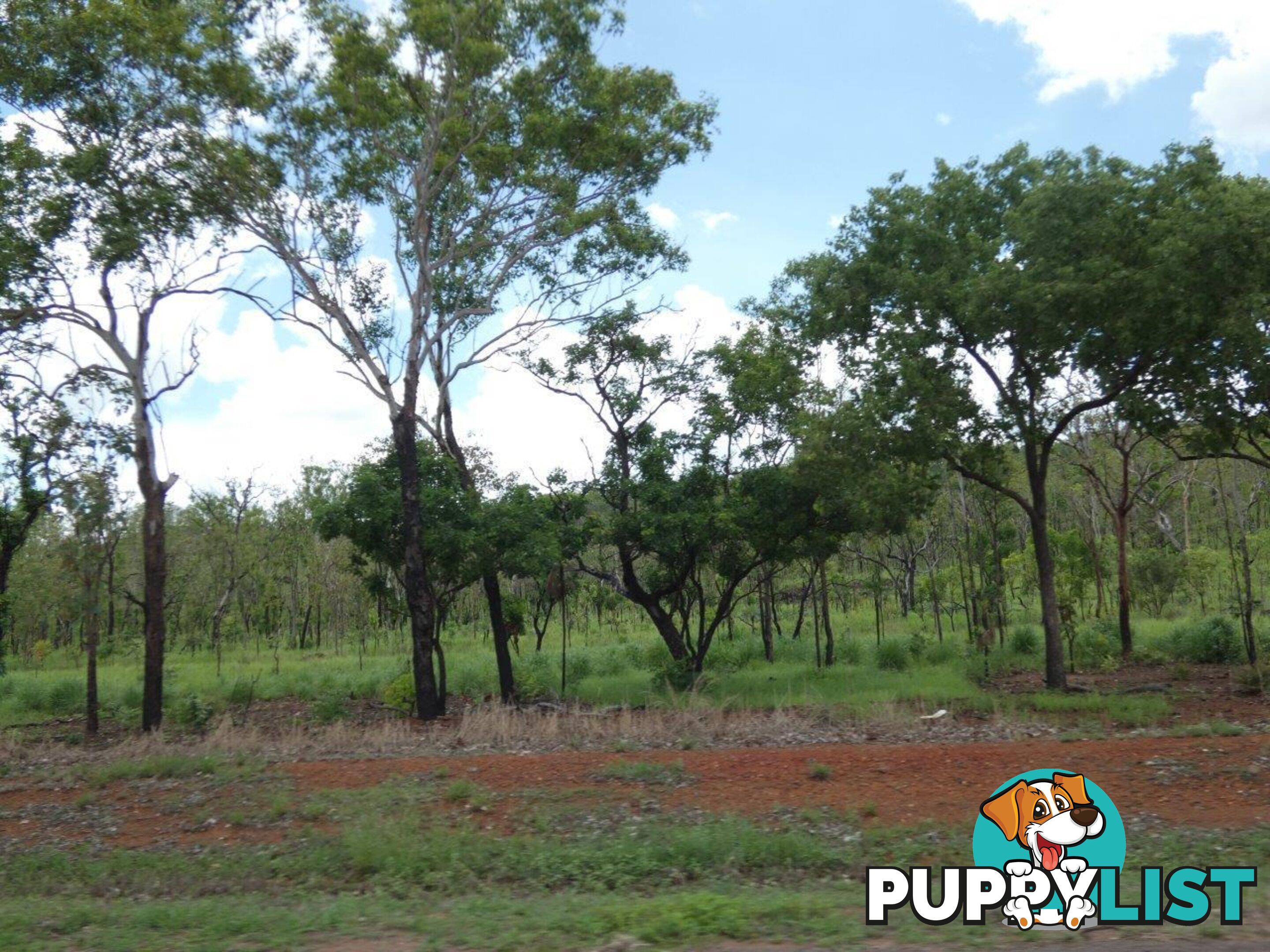 Lot 237 Stuart Highway Coomalie Creek NT 0822