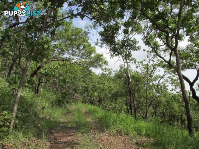 Lot 237 Stuart Highway Coomalie Creek NT 0822