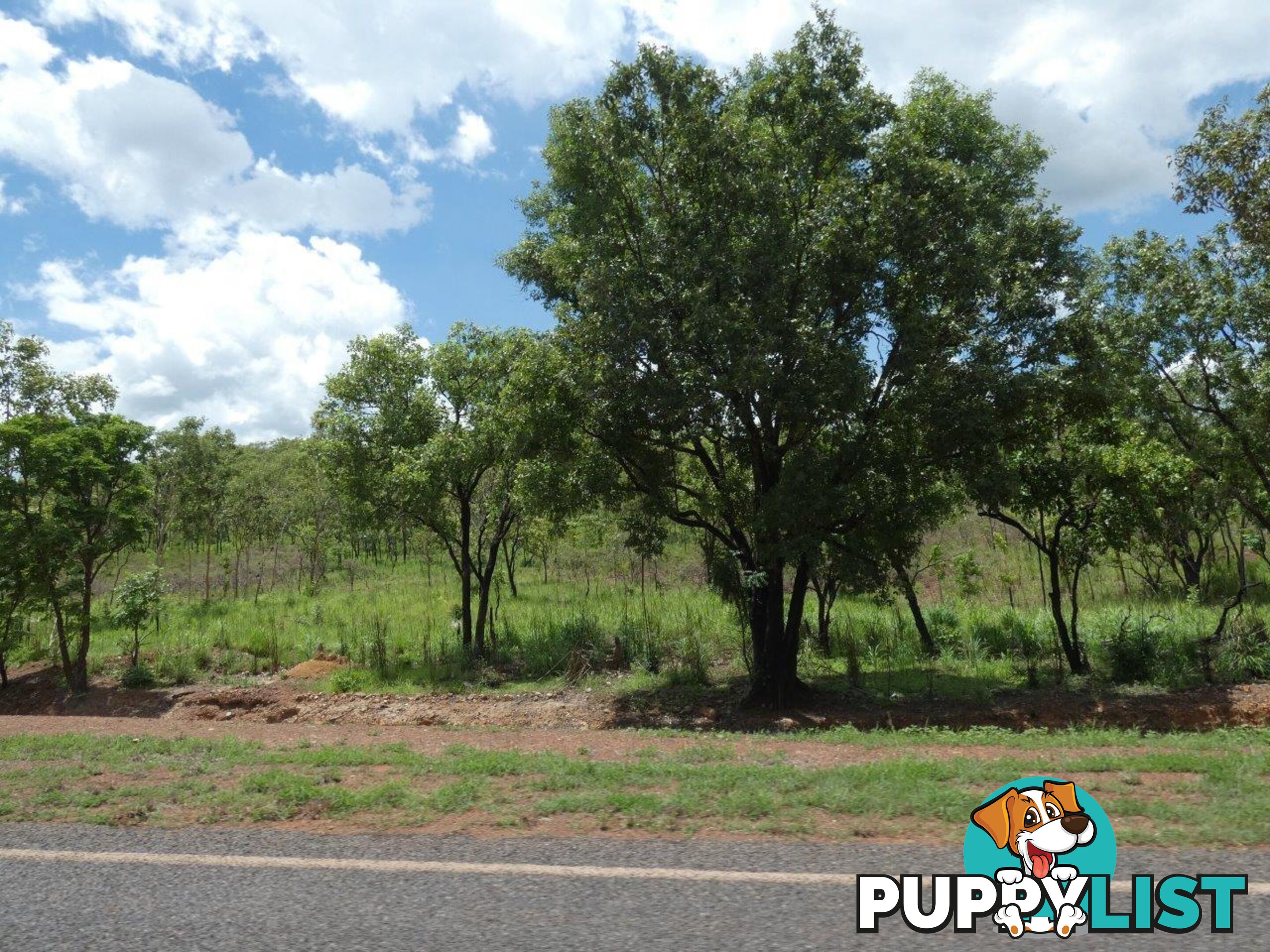 Lot 237 Stuart Highway Coomalie Creek NT 0822