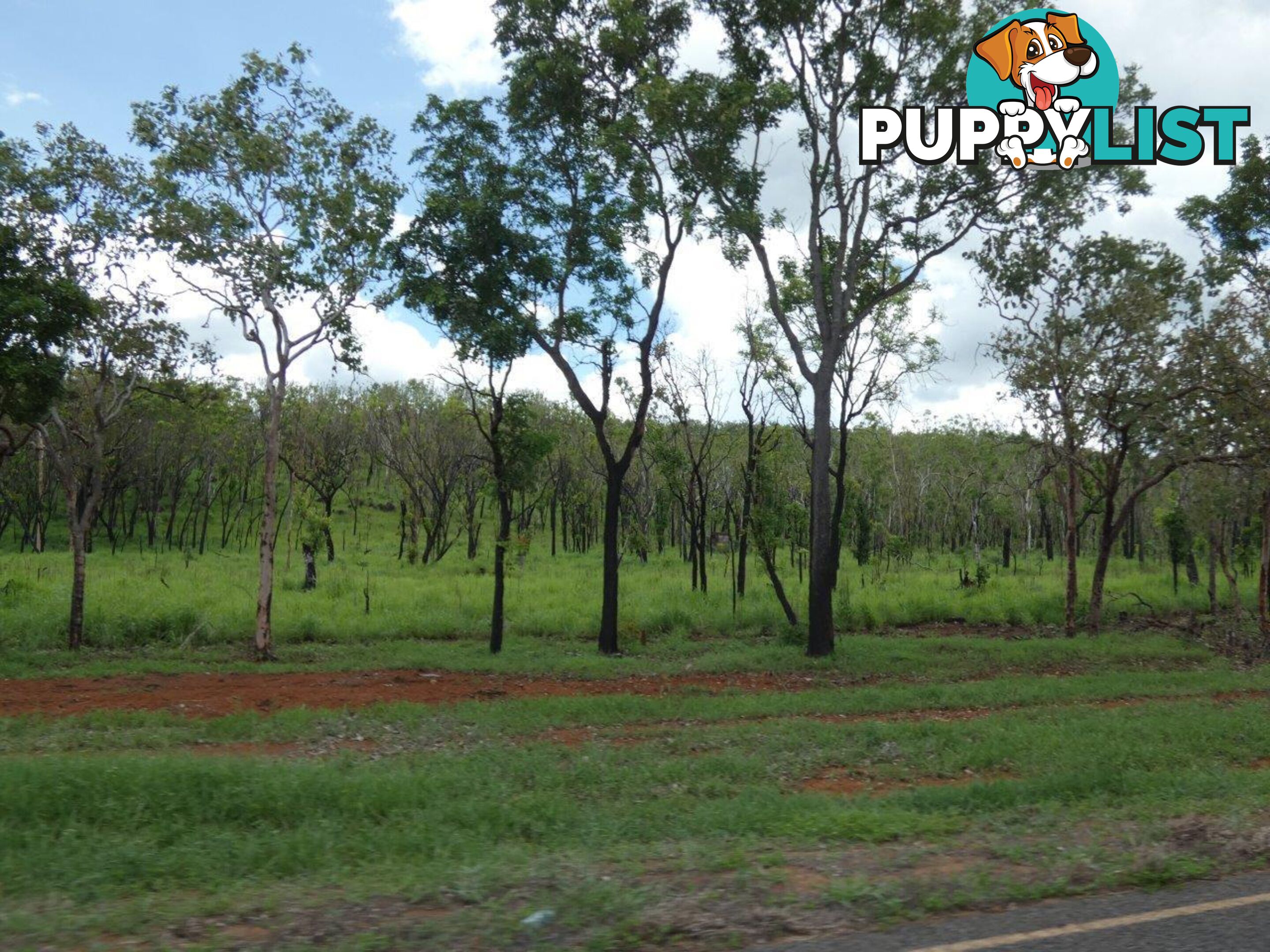 Lot 237 Stuart Highway Coomalie Creek NT 0822