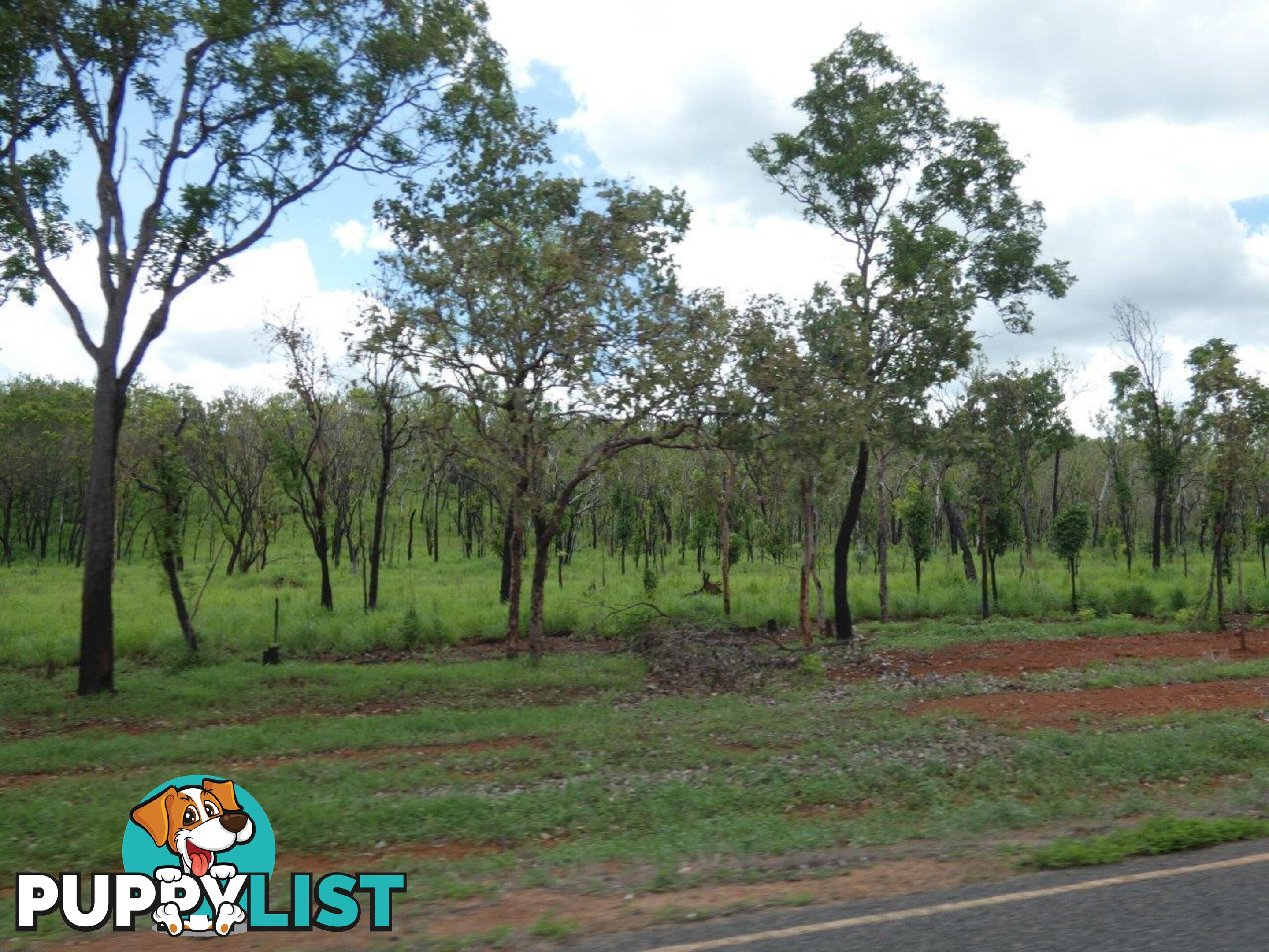 Lot 237 Stuart Highway Coomalie Creek NT 0822