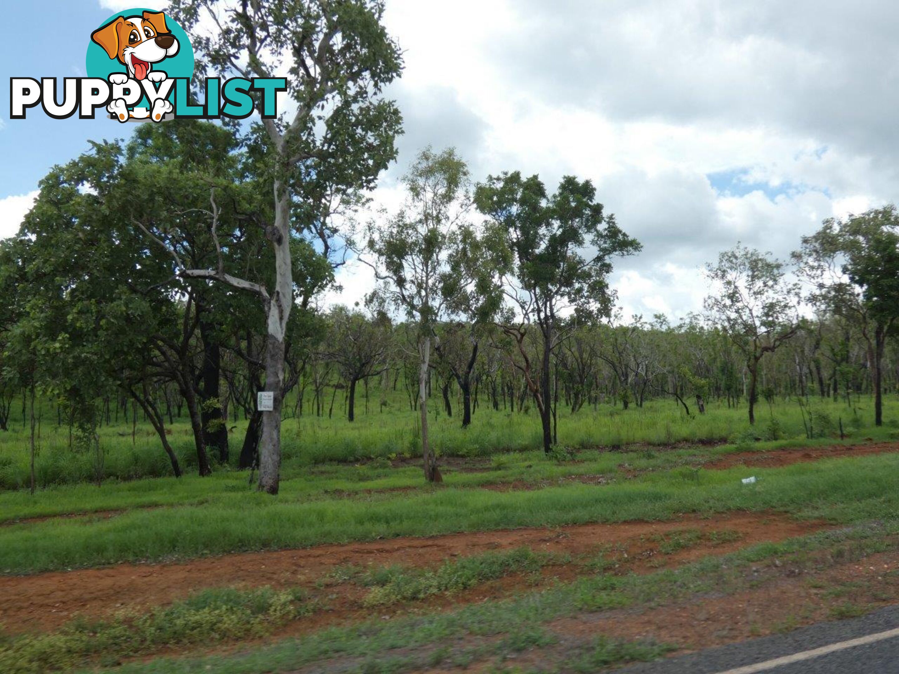 Lot 237 Stuart Highway Coomalie Creek NT 0822