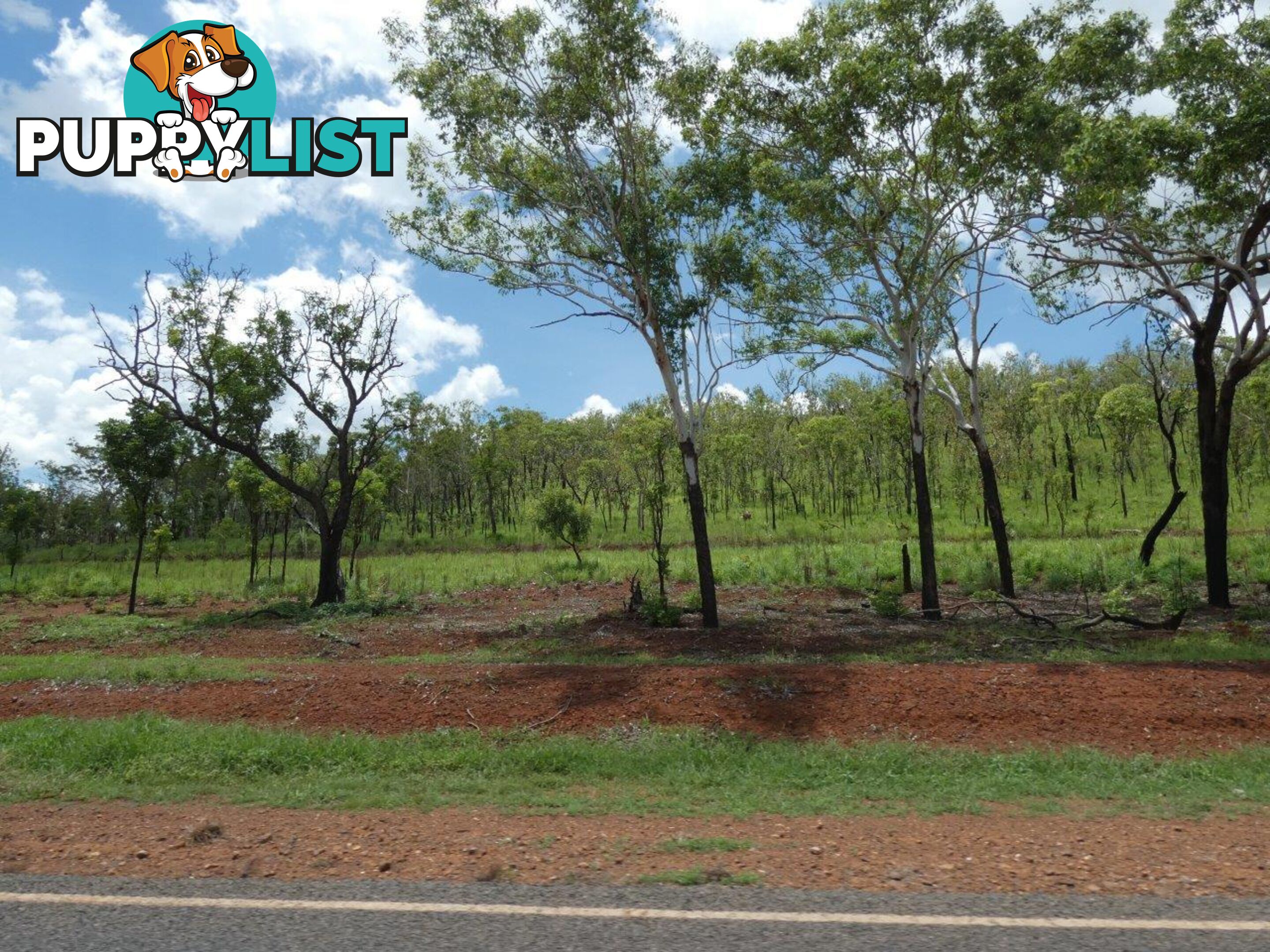 Lot 237 Stuart Highway Coomalie Creek NT 0822