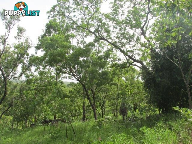 Lot 237 Stuart Highway Coomalie Creek NT 0822