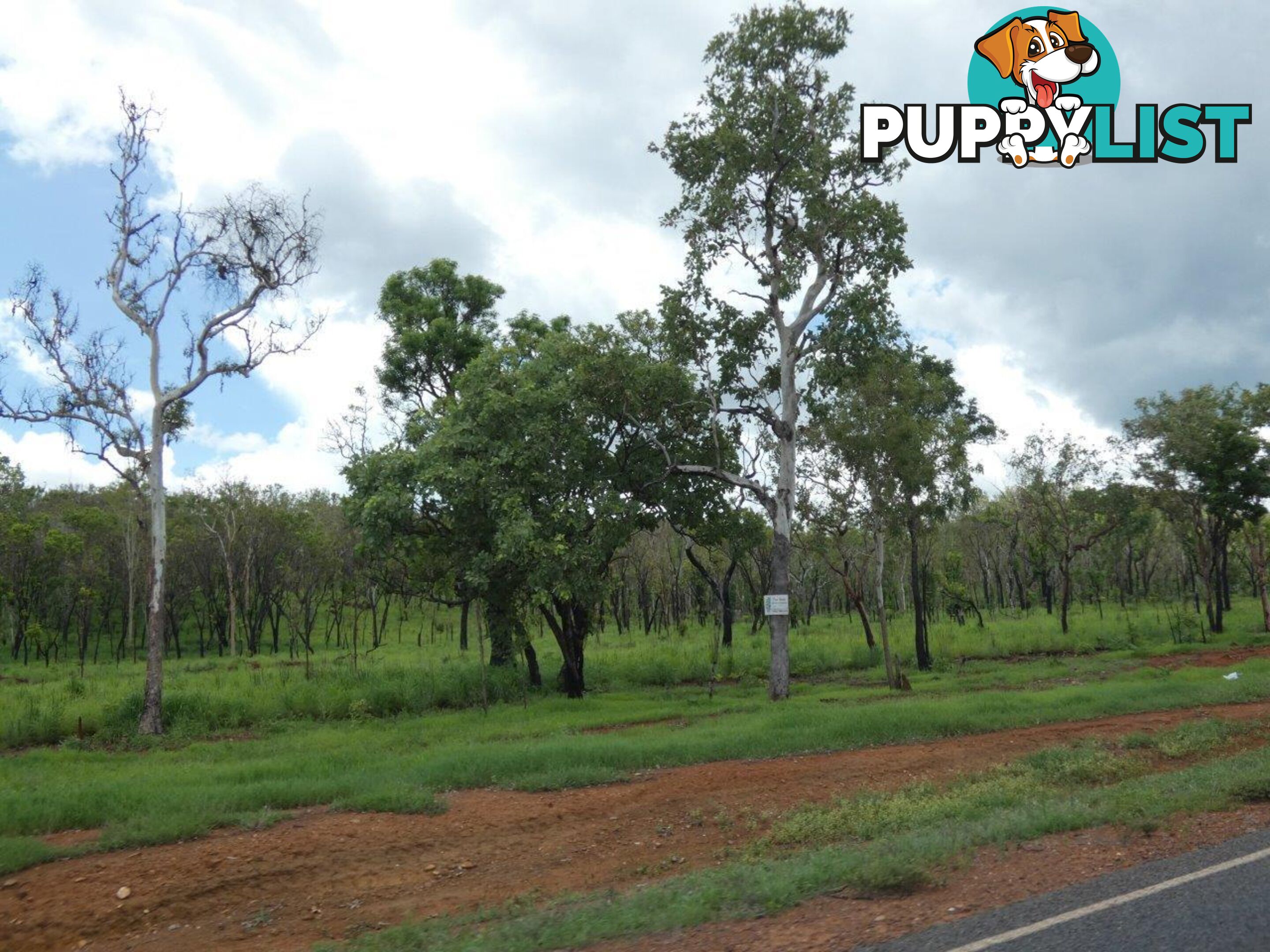 Lot 237 Stuart Highway Coomalie Creek NT 0822