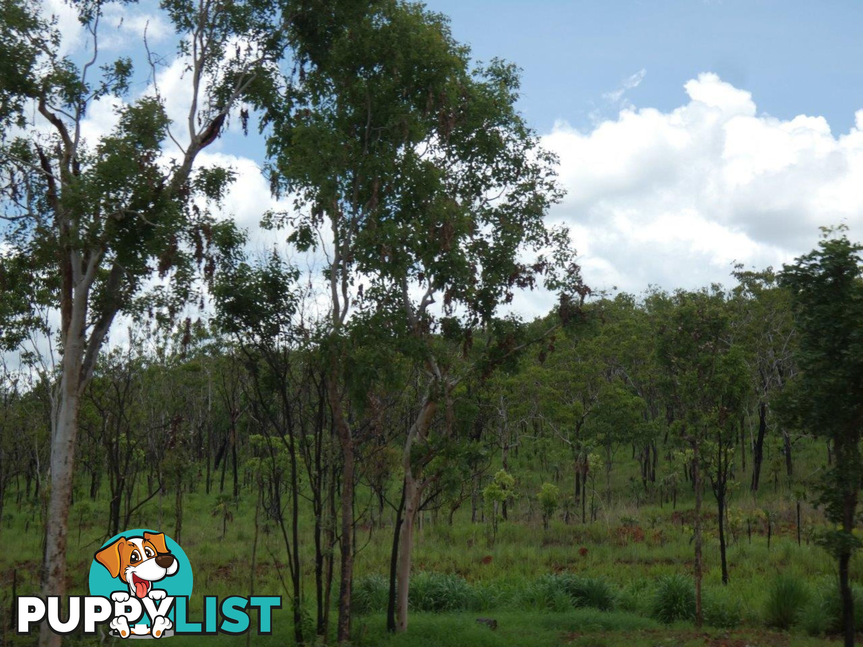 Lot 237 Stuart Highway Coomalie Creek NT 0822