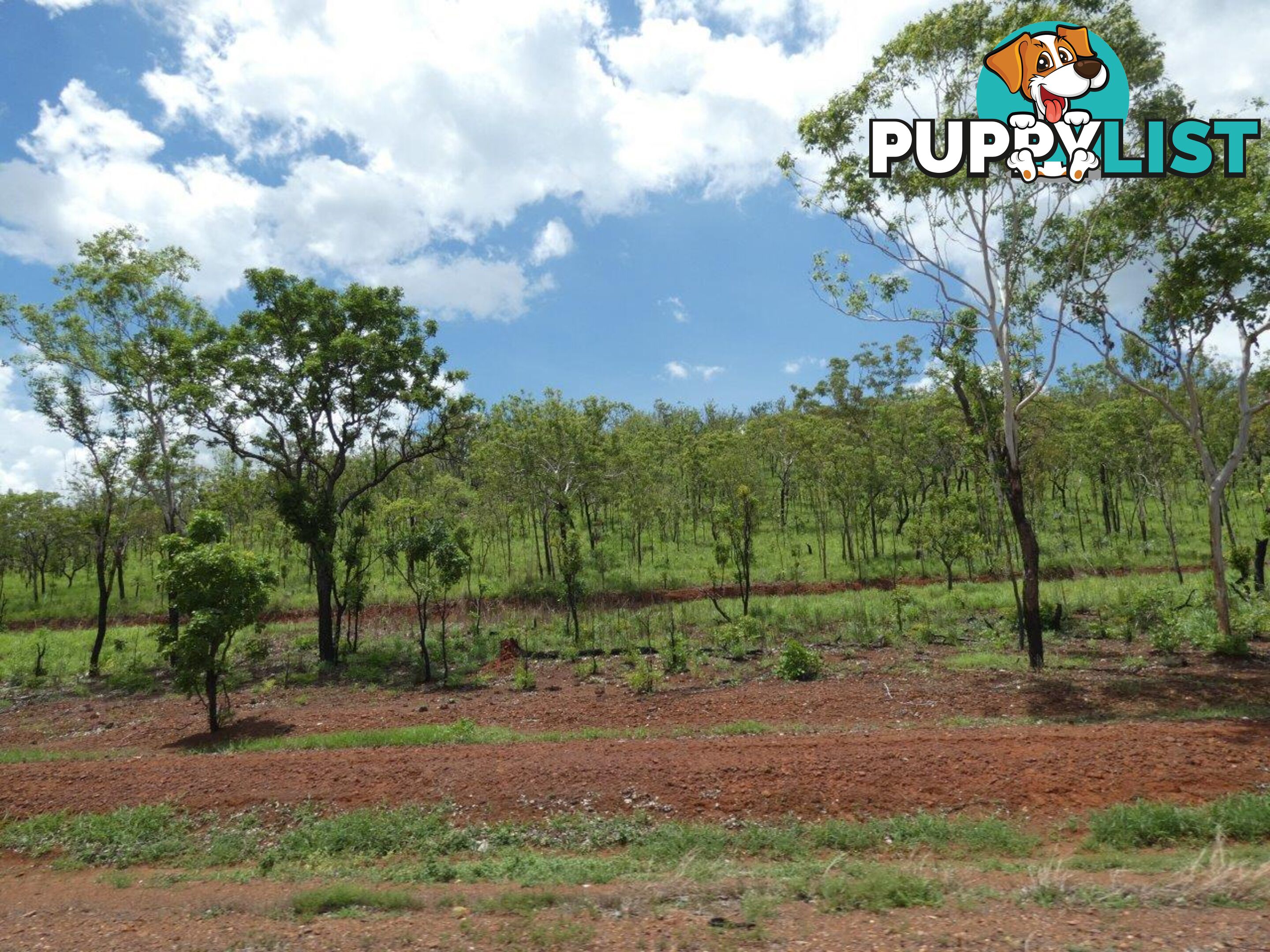 Lot 237 Stuart Highway Coomalie Creek NT 0822