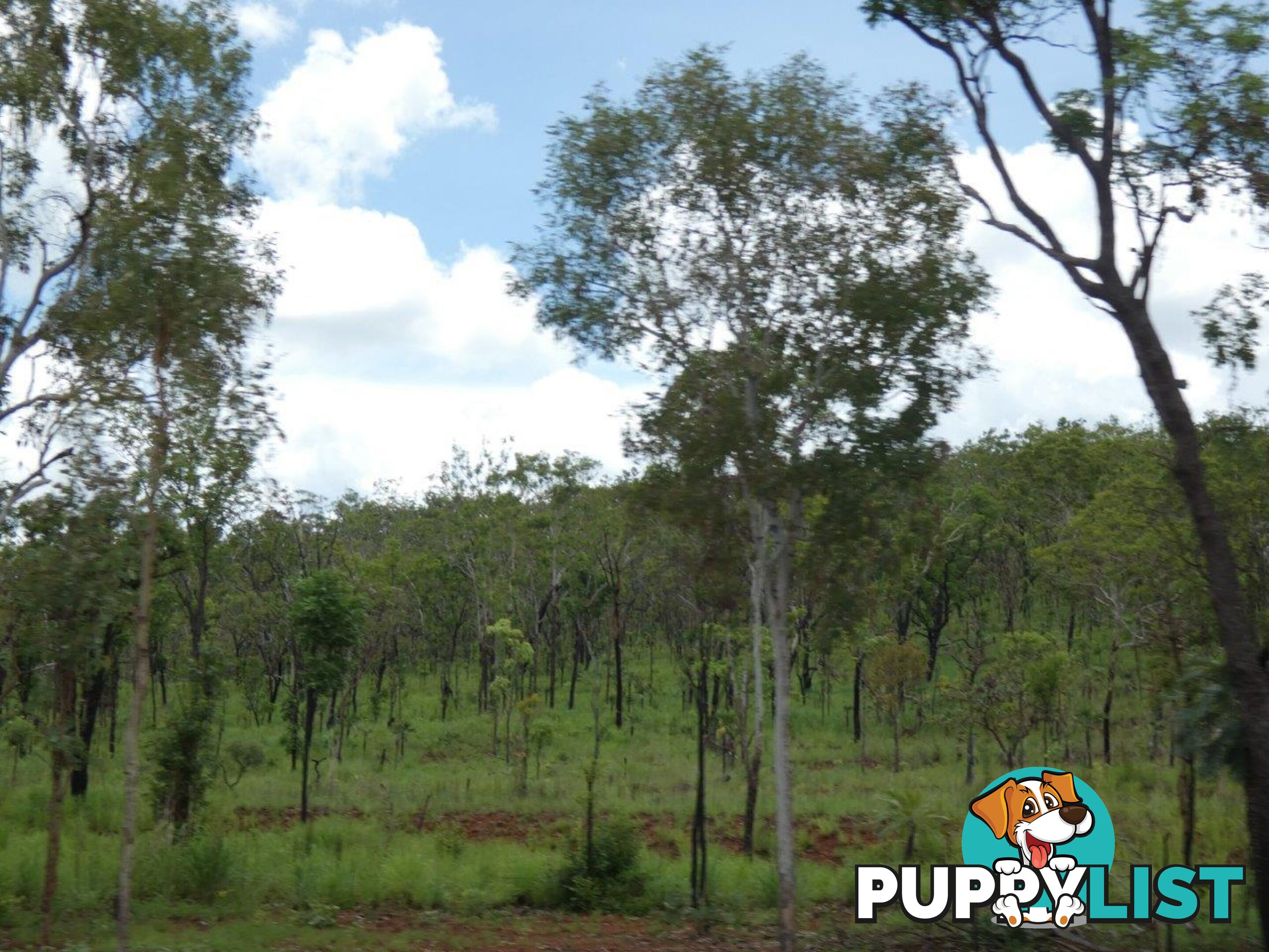 Lot 237 Stuart Highway Coomalie Creek NT 0822