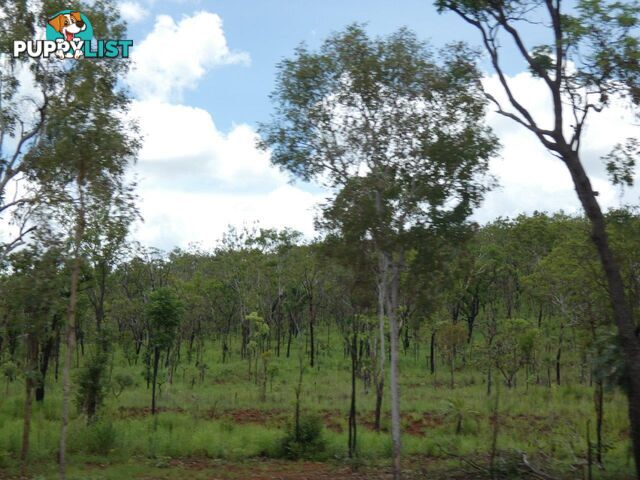 Lot 237 Stuart Highway Coomalie Creek NT 0822