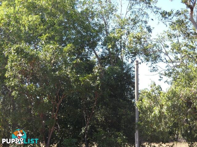 20 Myrmidon Circuit Dundee Beach NT 0840