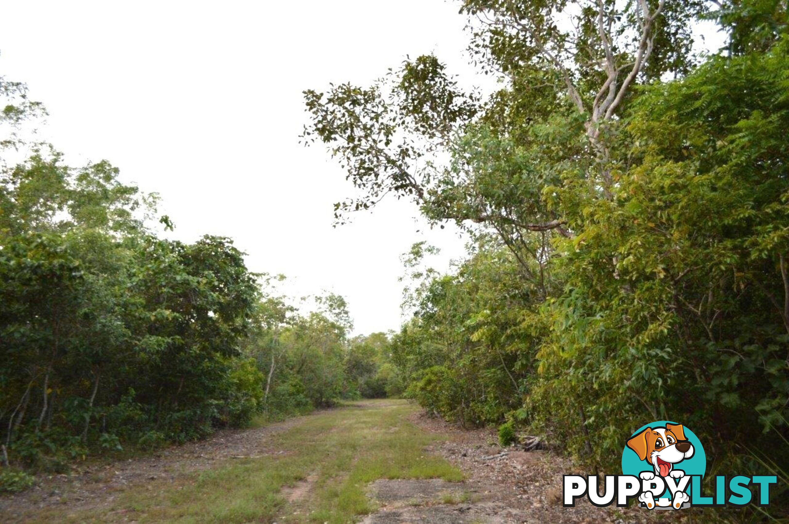 20 Myrmidon Circuit Dundee Beach NT 0840