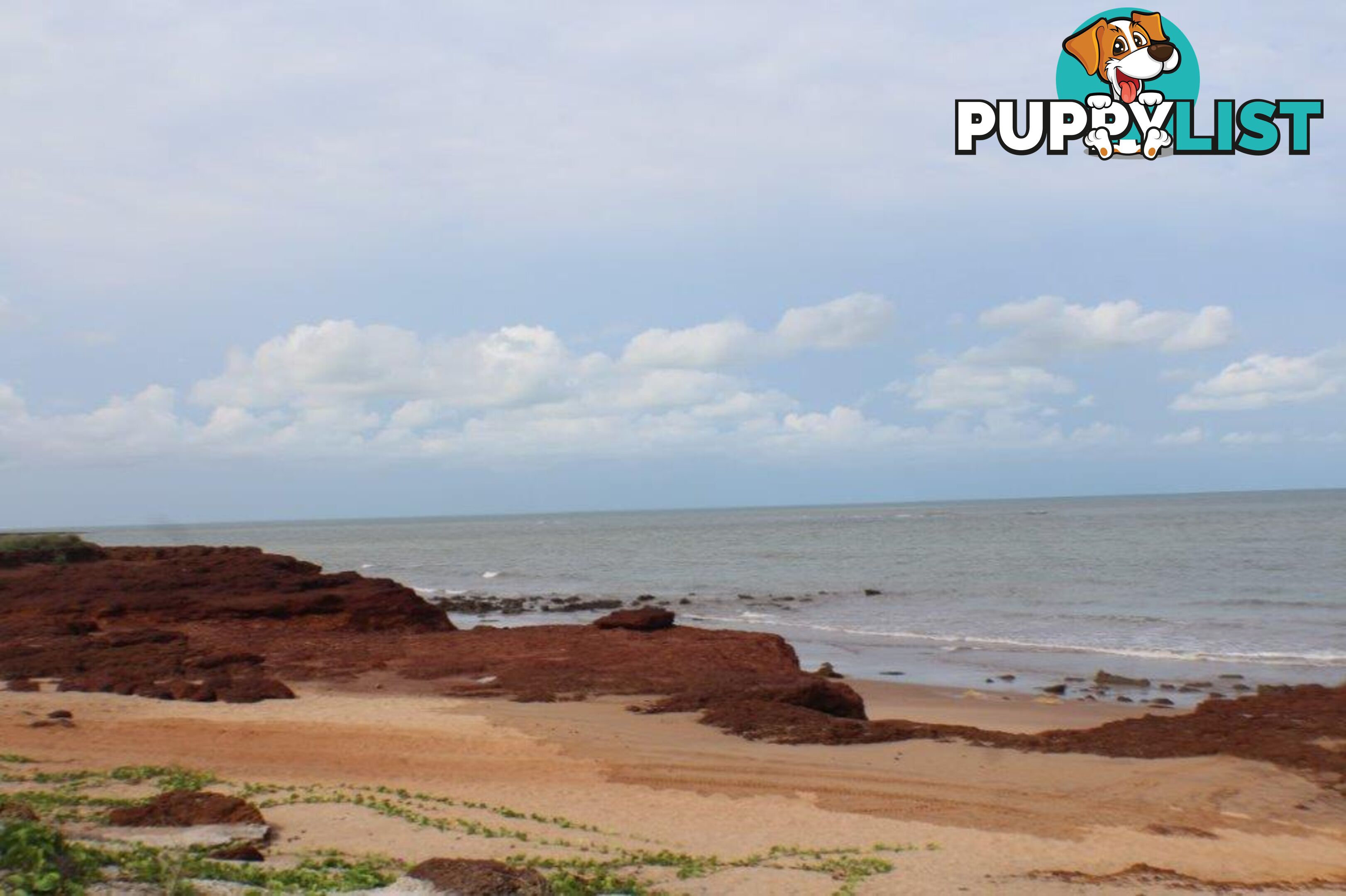 20 Myrmidon Circuit Dundee Beach NT 0840