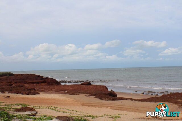 20 Myrmidon Circuit Dundee Beach NT 0840