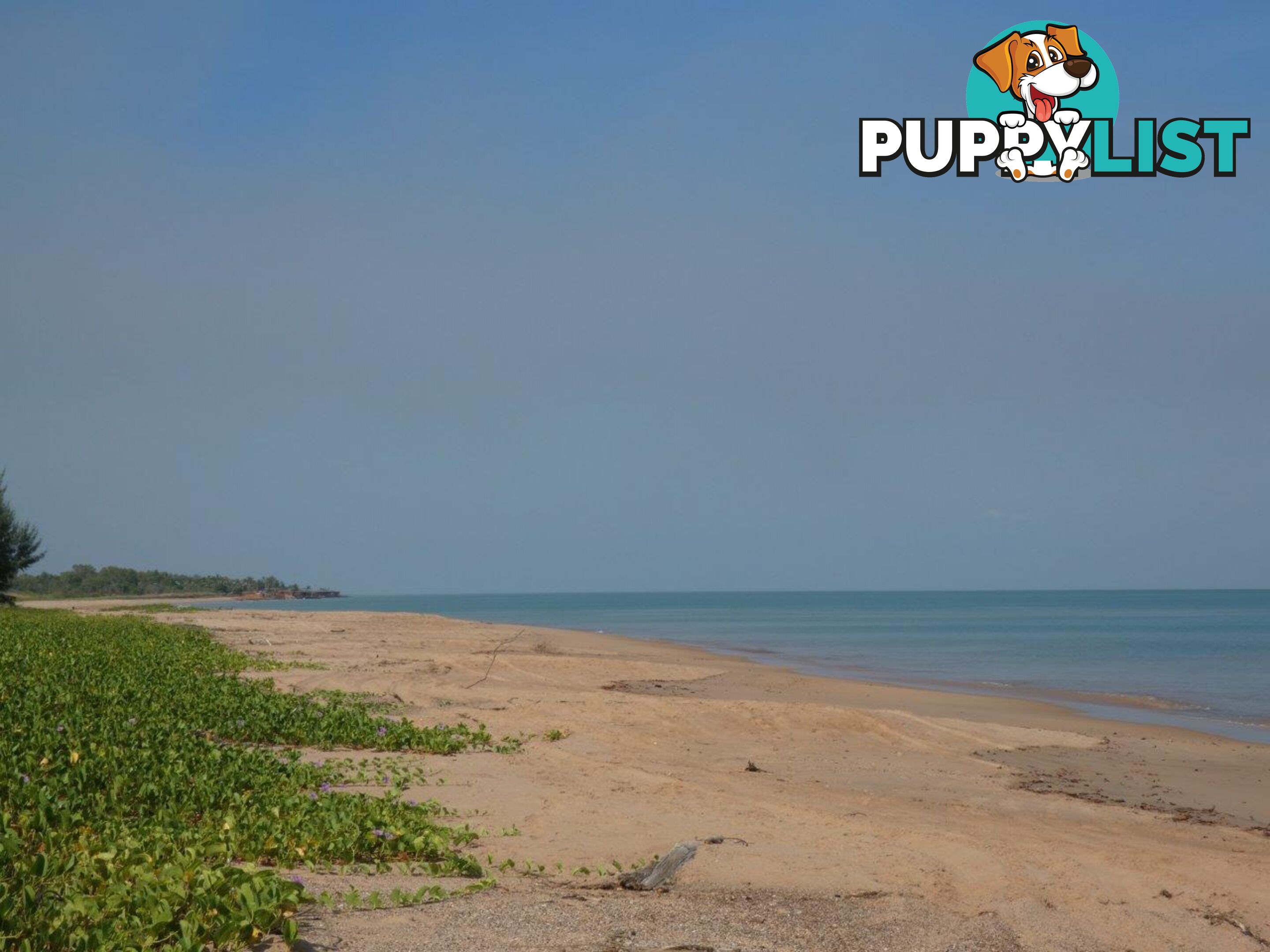 20 Myrmidon Circuit Dundee Beach NT 0840