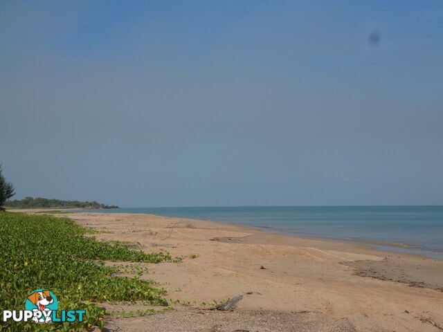 20 Myrmidon Circuit Dundee Beach NT 0840